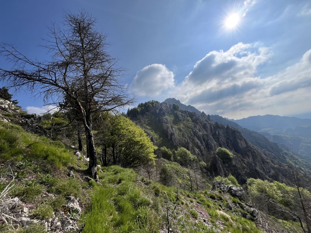 Bocca di Valle...Bondone (TN)